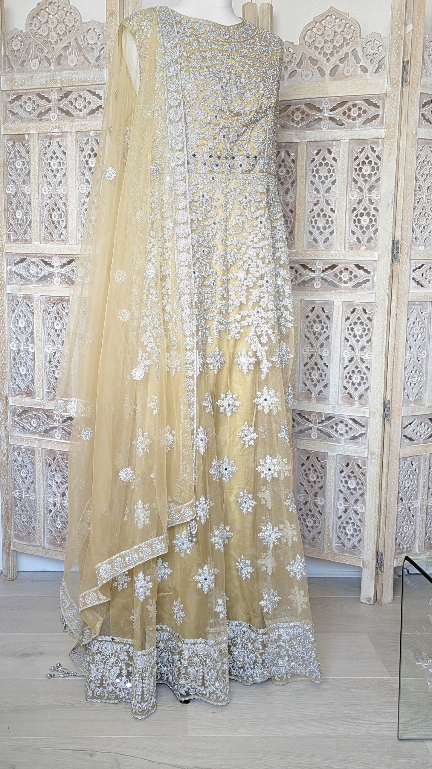 Gold and Silver Gown (20-22)