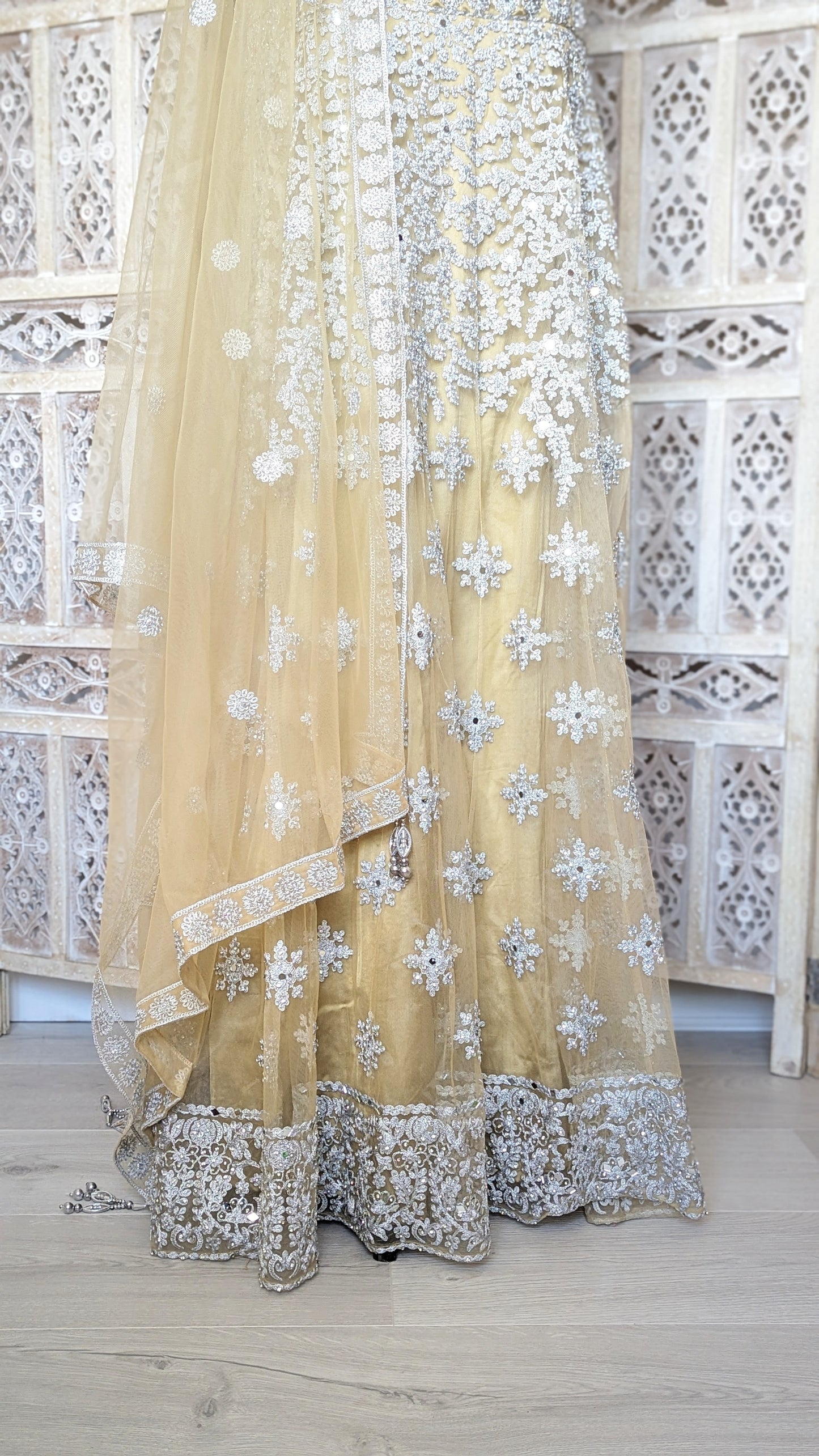 Gold and Silver Gown (20-22)