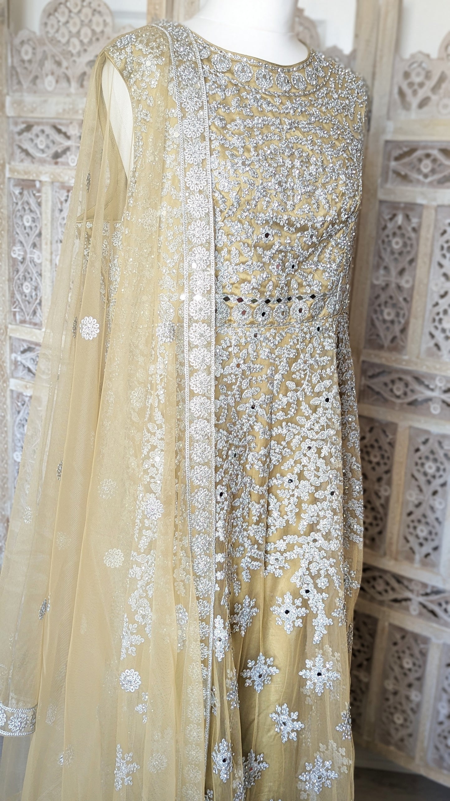 Gold and Silver Gown (20-22)