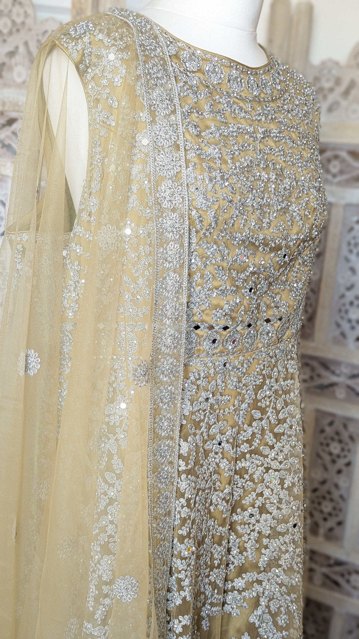 Gold and Silver Gown (20-22)