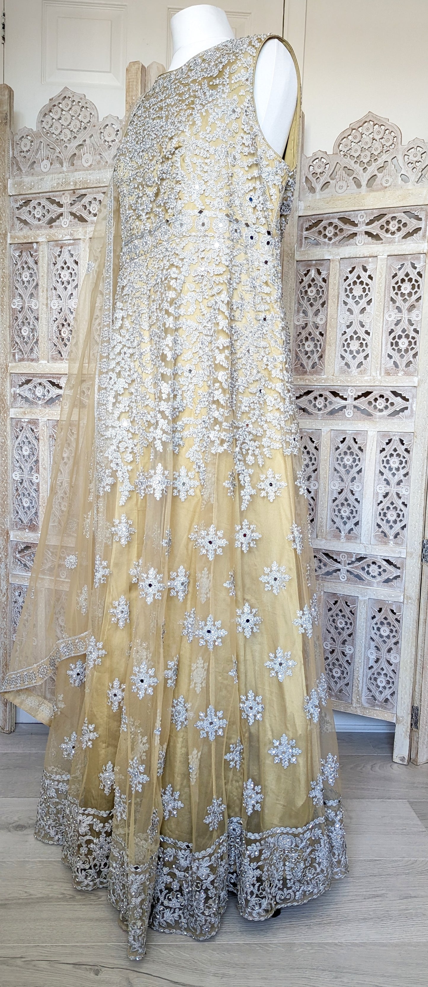Gold and Silver Gown (20-22)