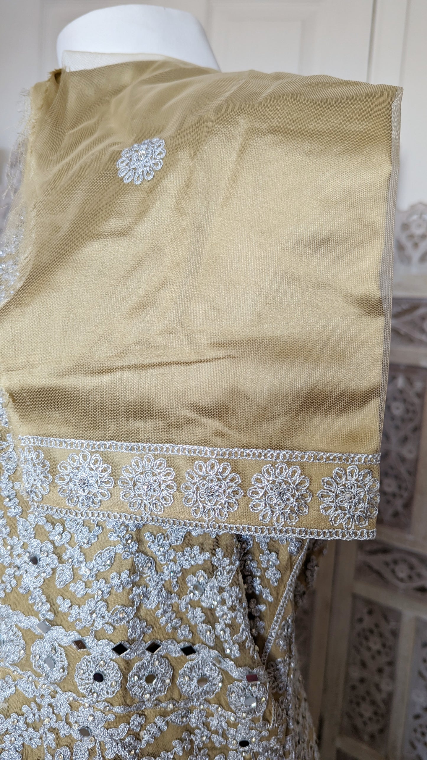 Gold and Silver Gown (20-22)