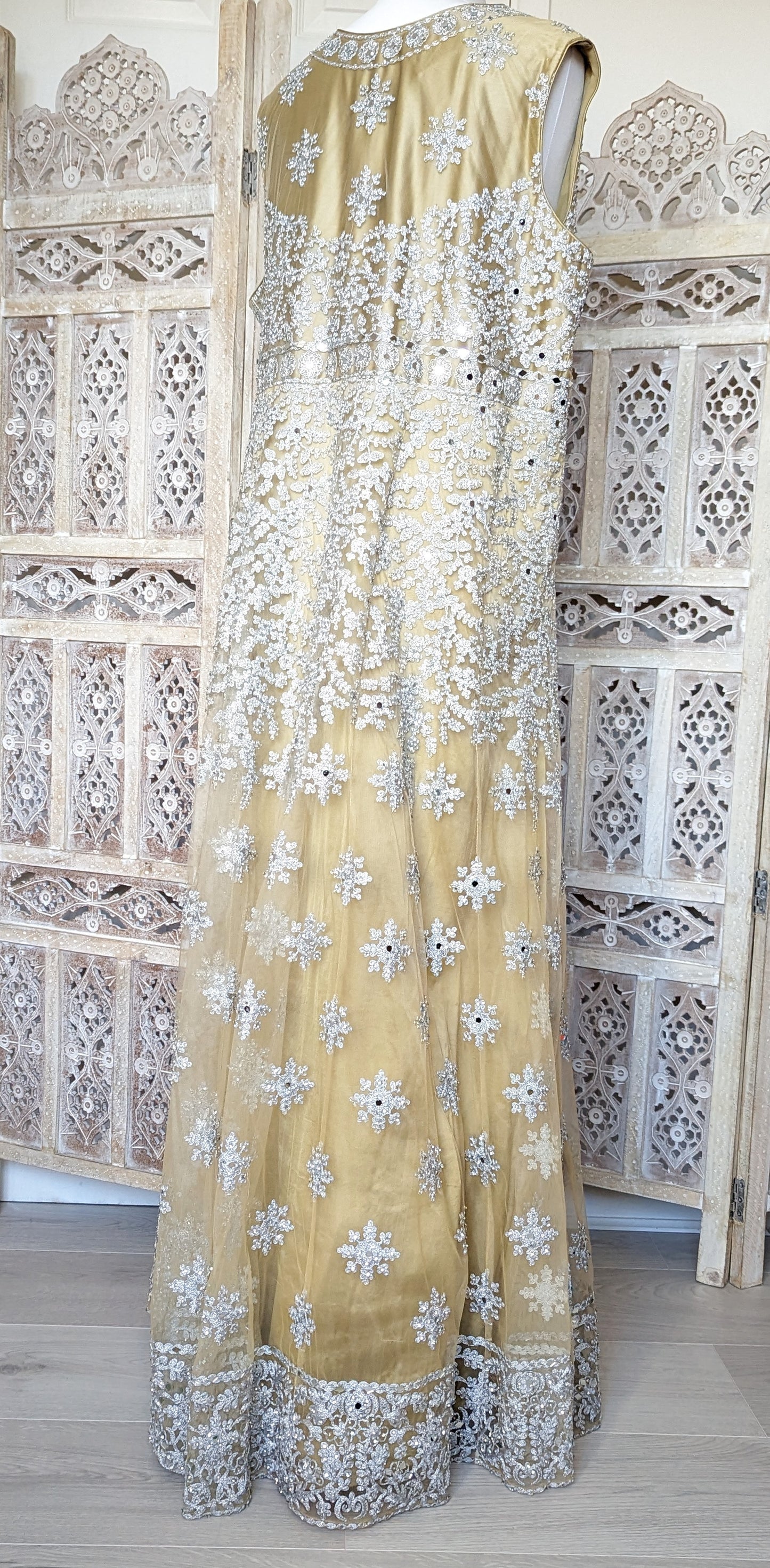 Gold and Silver Gown (20-22)